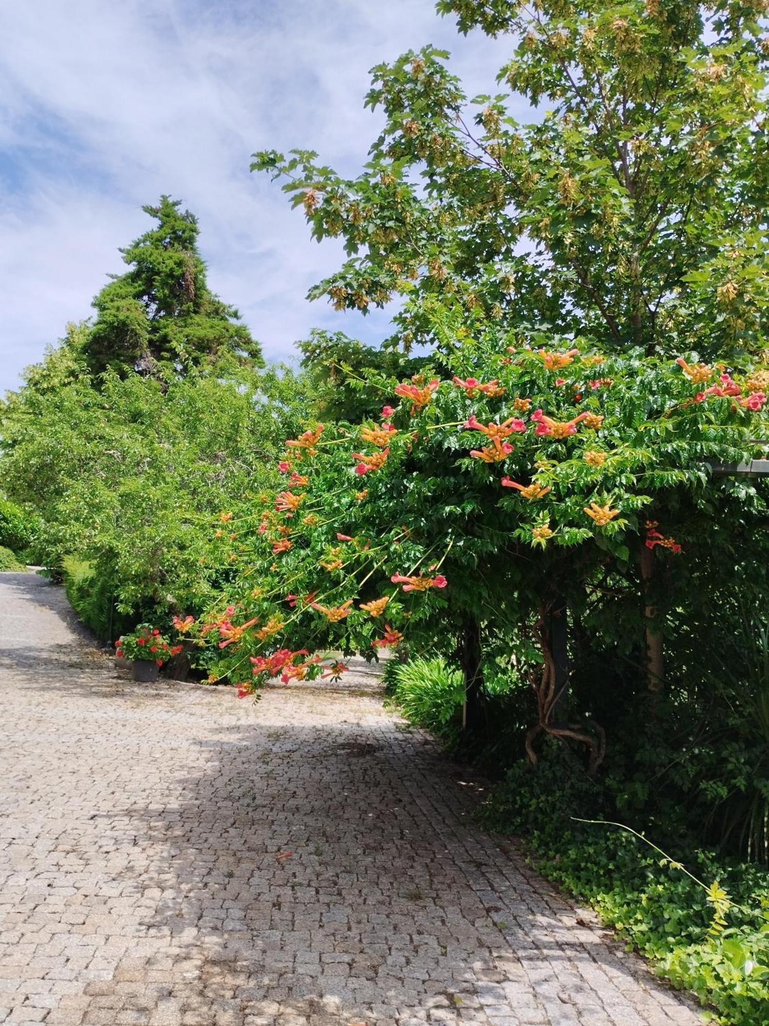 Quinta Da Telheira Hotell Vila Real Eksteriør bilde