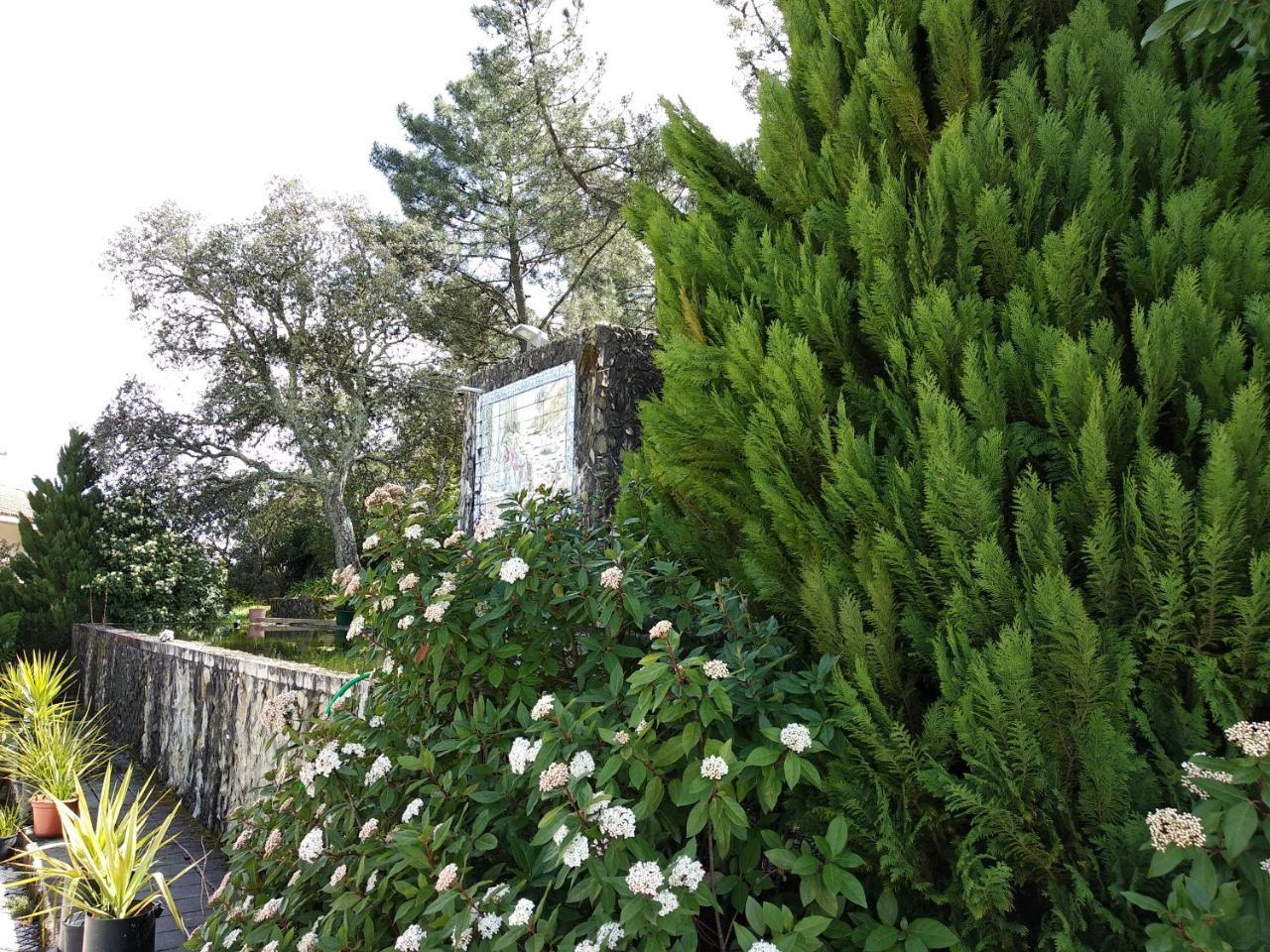 Quinta Da Telheira Hotell Vila Real Eksteriør bilde