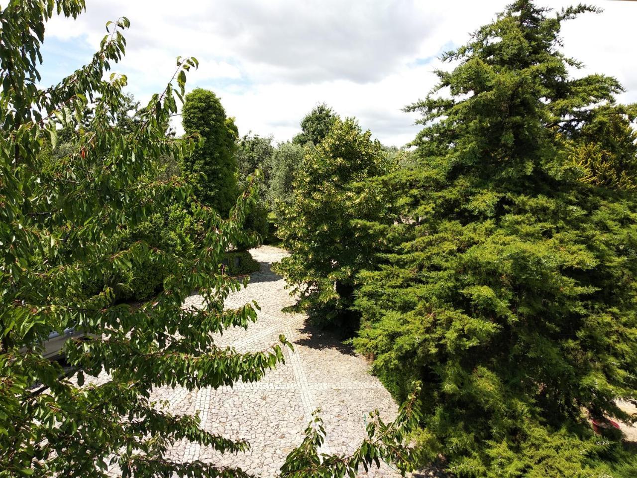 Quinta Da Telheira Hotell Vila Real Eksteriør bilde
