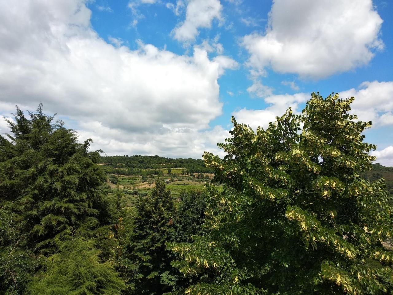 Quinta Da Telheira Hotell Vila Real Eksteriør bilde